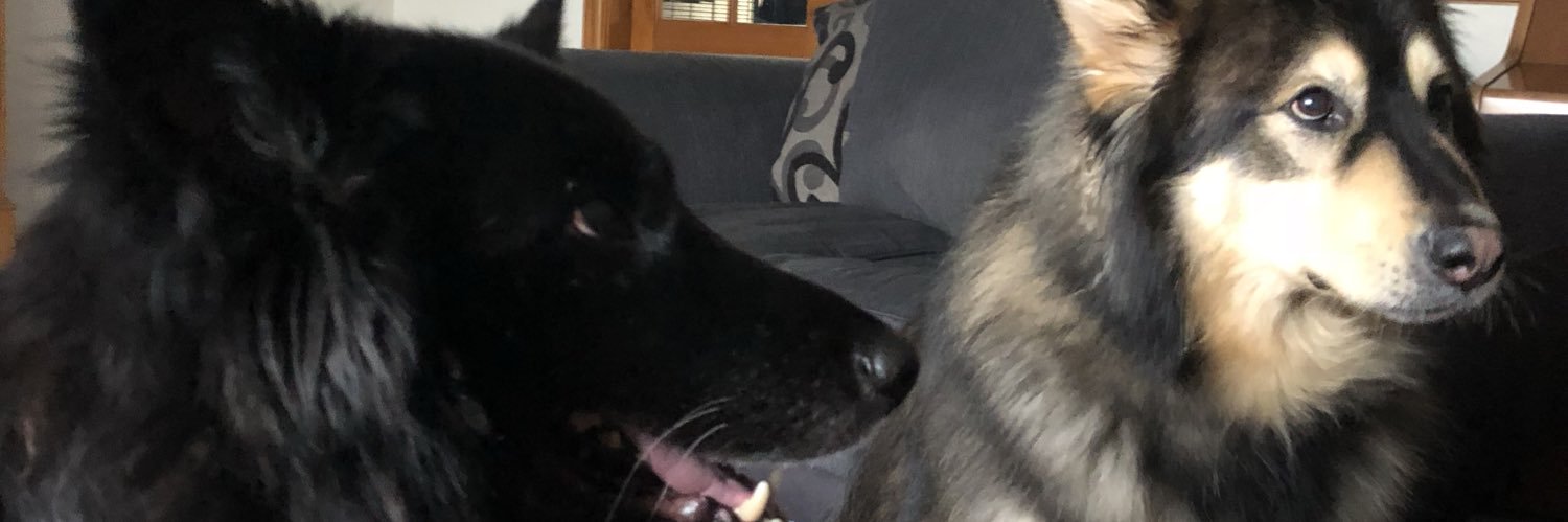 snoopsdf's profile banner image
