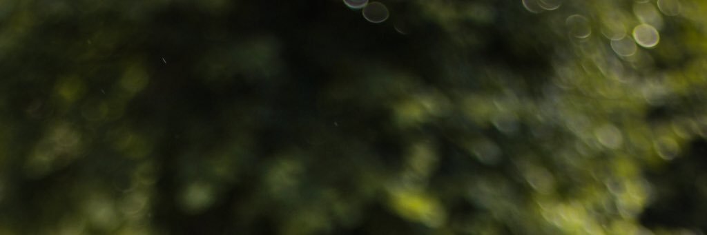 emi salida 🧣 banner