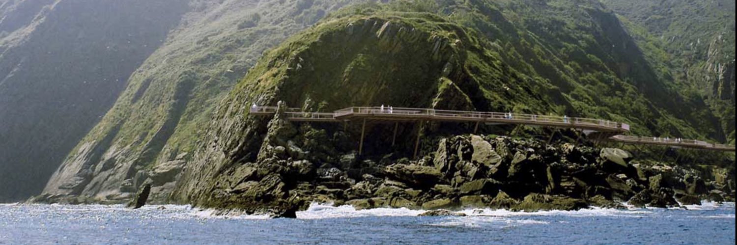 Odón Elorza 🚲 Activista por la Democracia banner