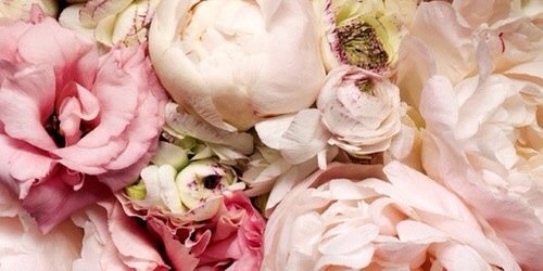 SSchneider33's profile banner image