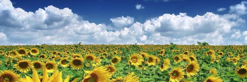Craig7O's profile banner image