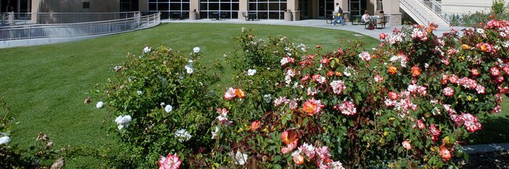 CPGE at Cal Poly Pomona (@CPGEatCPP) / Posts / X