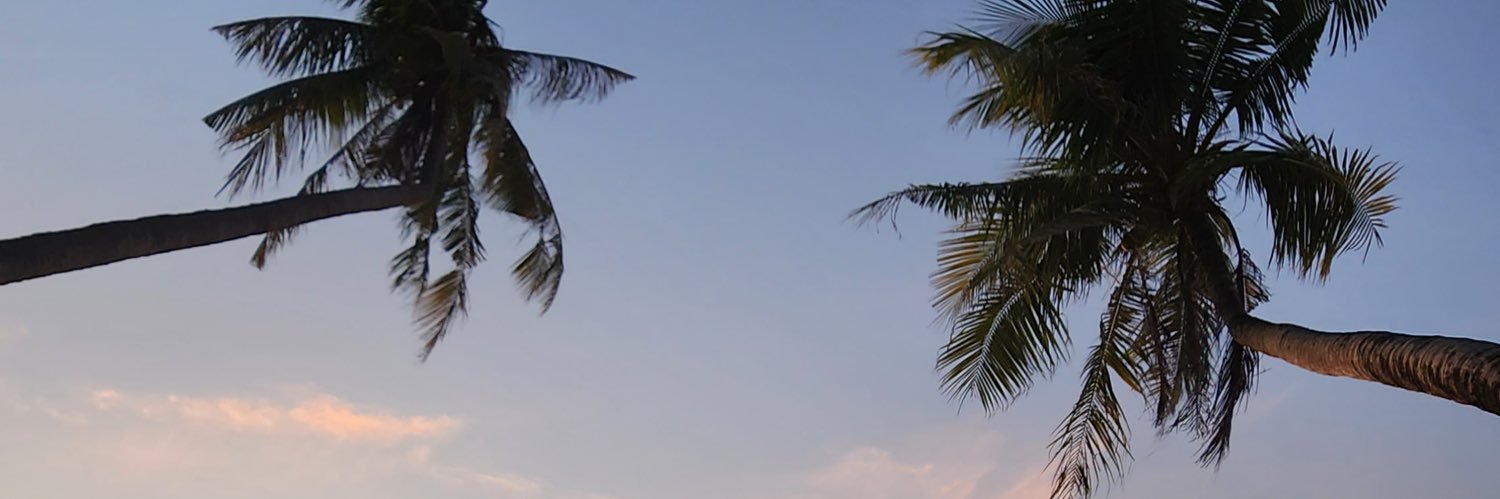 eleemey's profile banner image