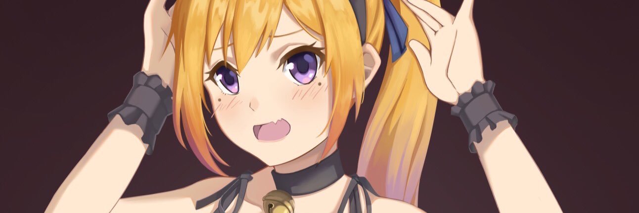 Ns_pnad's profile banner image