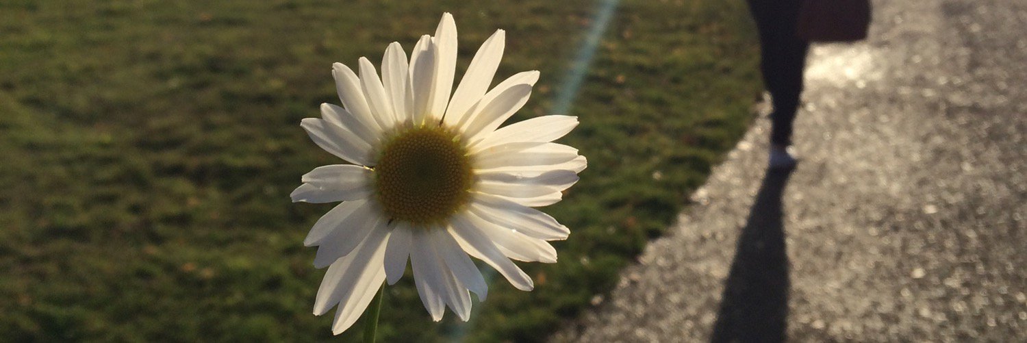 hanatkinson's profile banner image