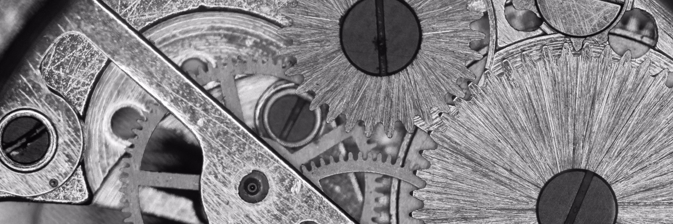 whyallthenoise banner