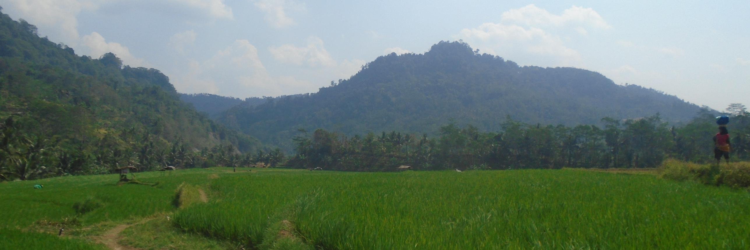 idfhi's profile banner image