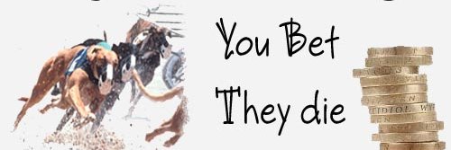 Jo banner