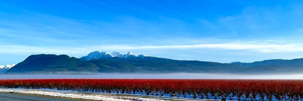 Dr Ruth Vilayil banner