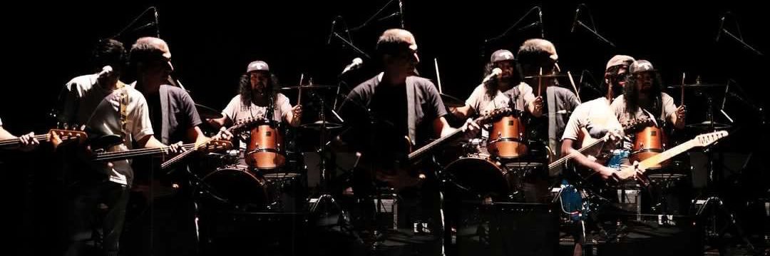 Damn Dirty Apes banner