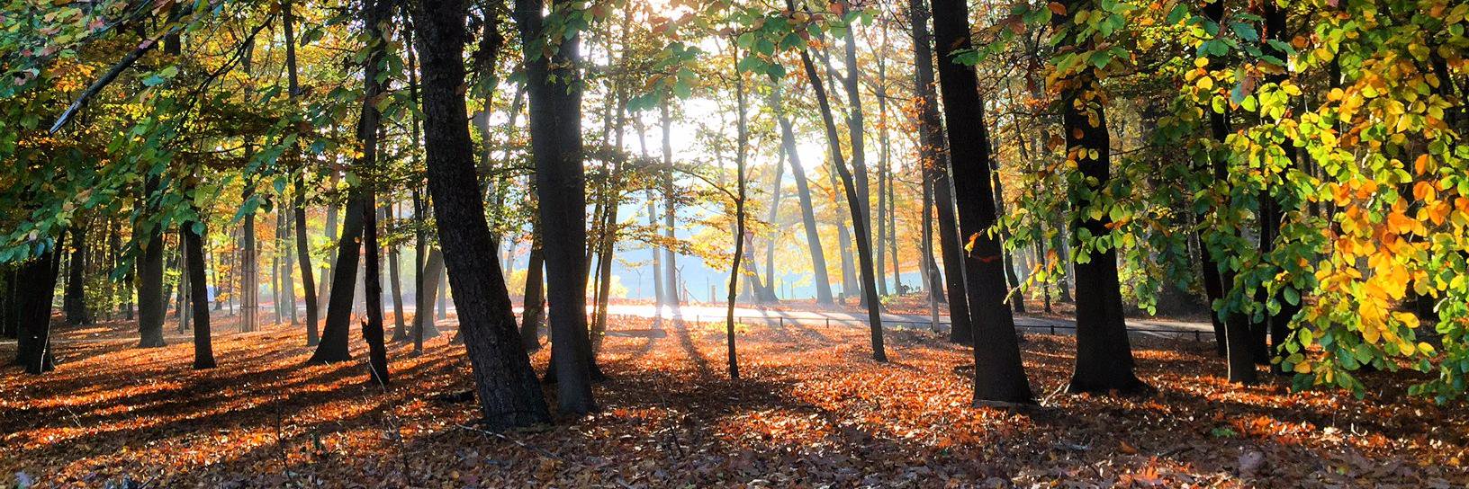 ASGoffertpark's profile banner image
