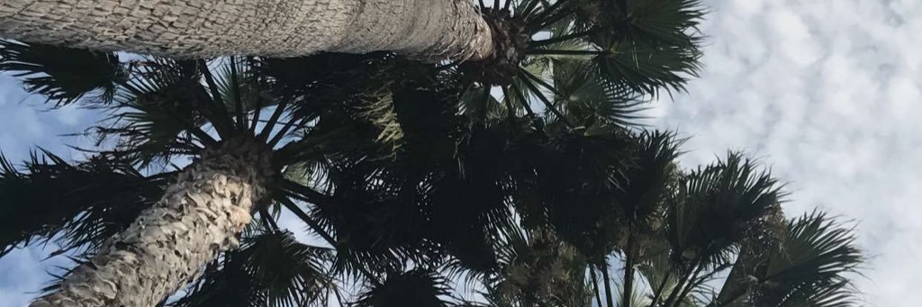 BlueDelahaye's profile banner image