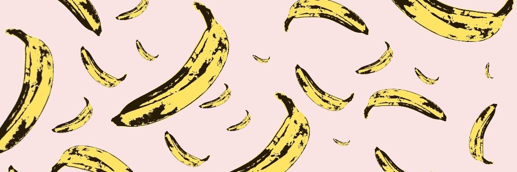 connierudman's profile banner image