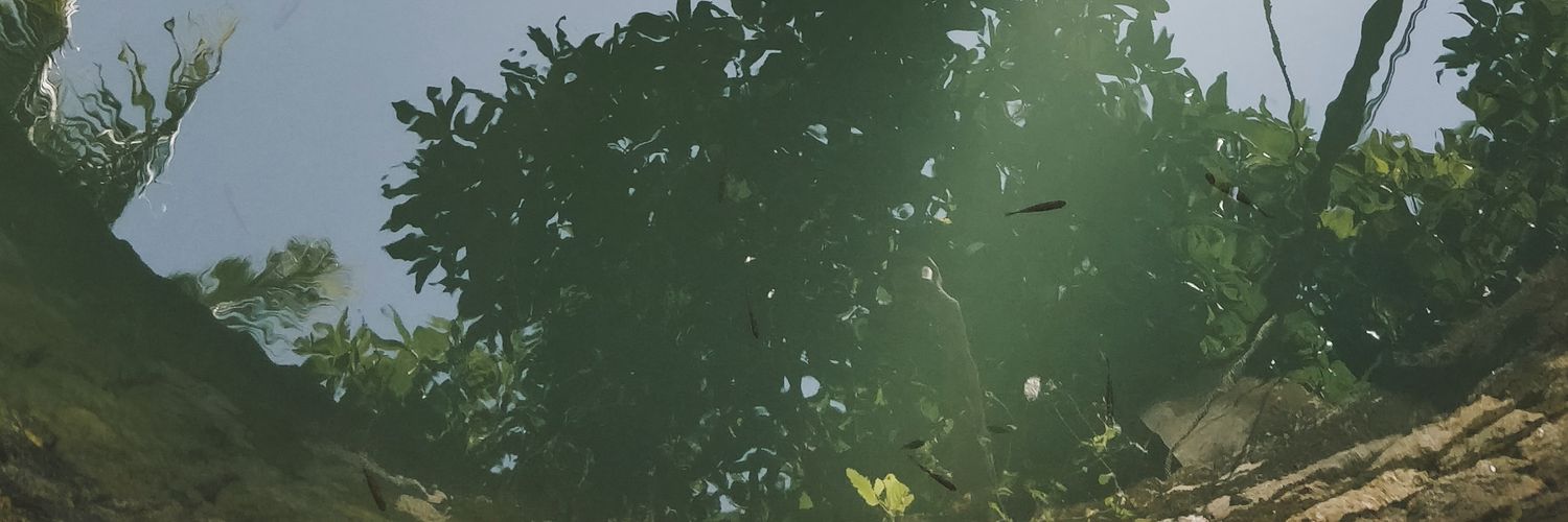apoorvaashetty's profile banner image