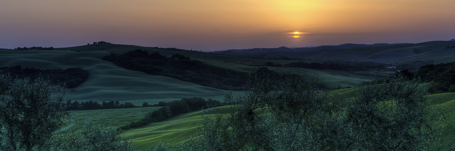 williamiropasew's profile banner image