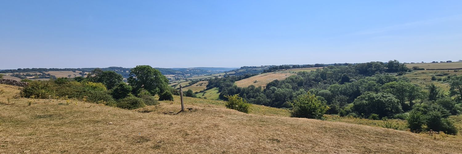 Darrel Barnett banner
