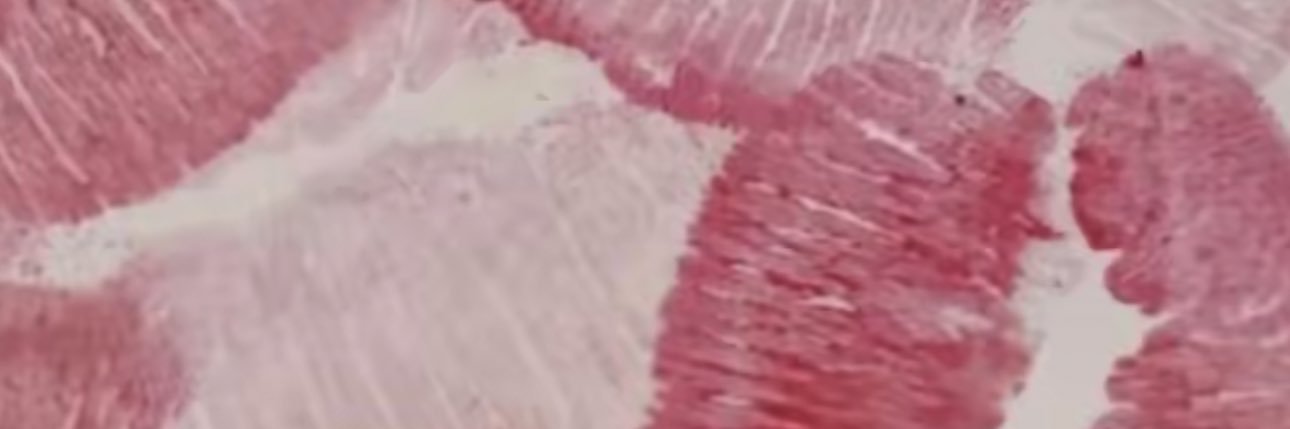 userrr000005's profile banner image