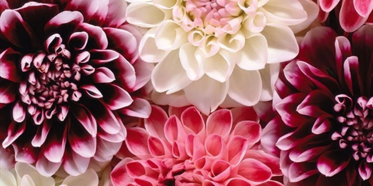 30riin_'s profile banner image