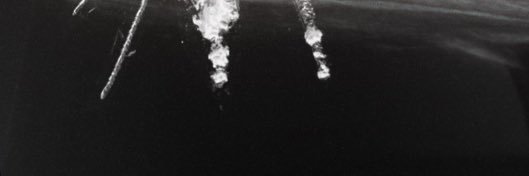 evistomma's profile banner image
