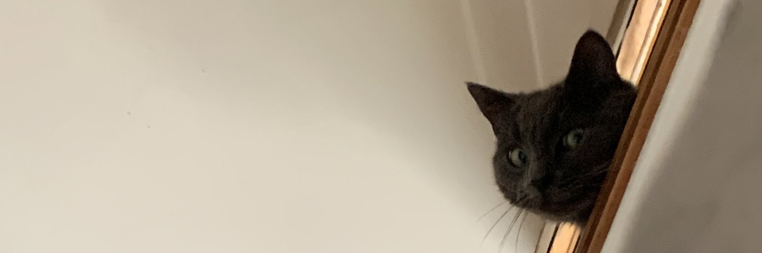 evoulepoux's profile banner image
