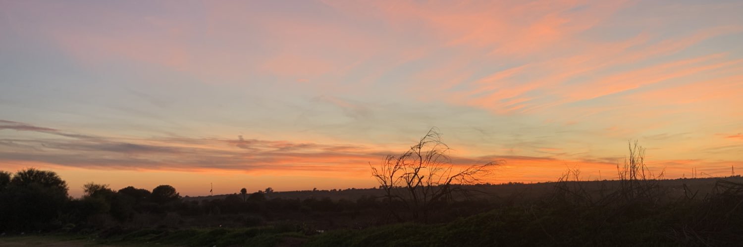 noeliagarrote_'s profile banner image