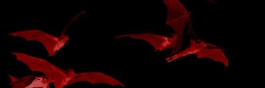 Olga_Greco72's profile banner image