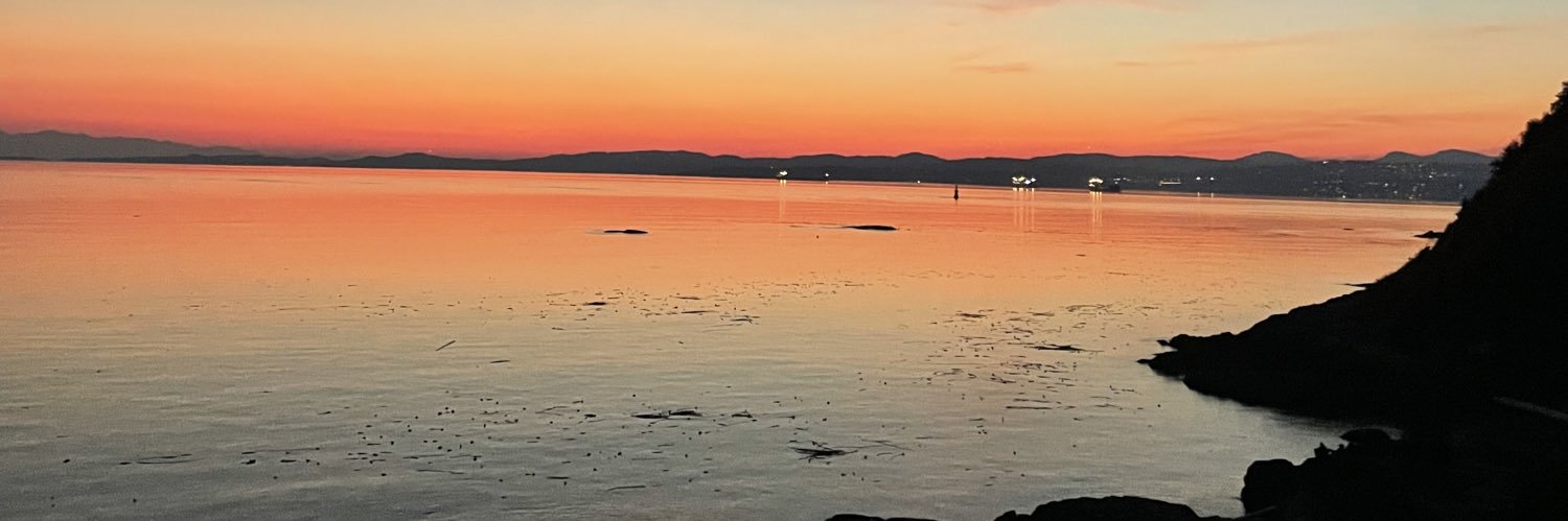 ldaniela_31's profile banner image