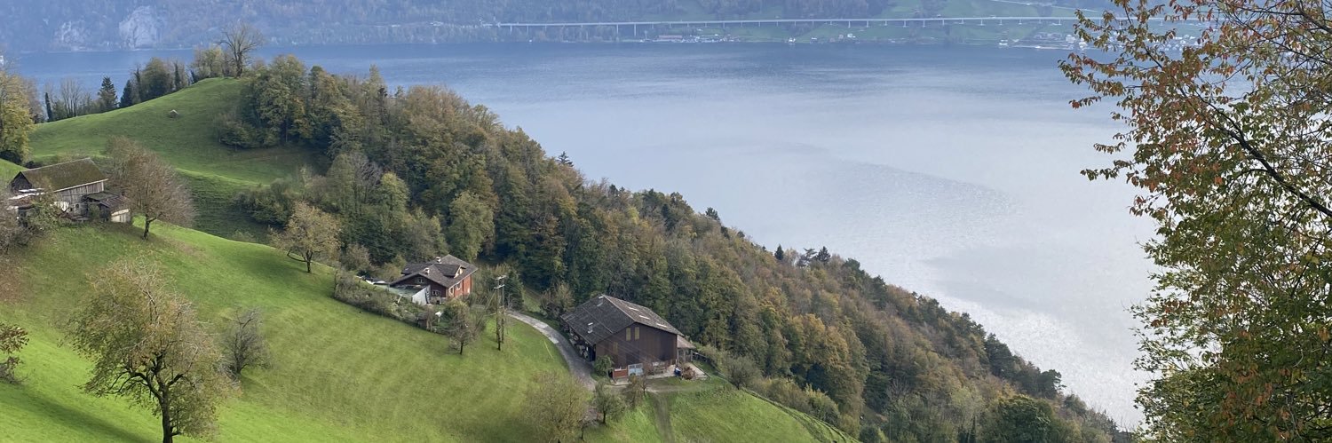 Aptullah Karabela banner