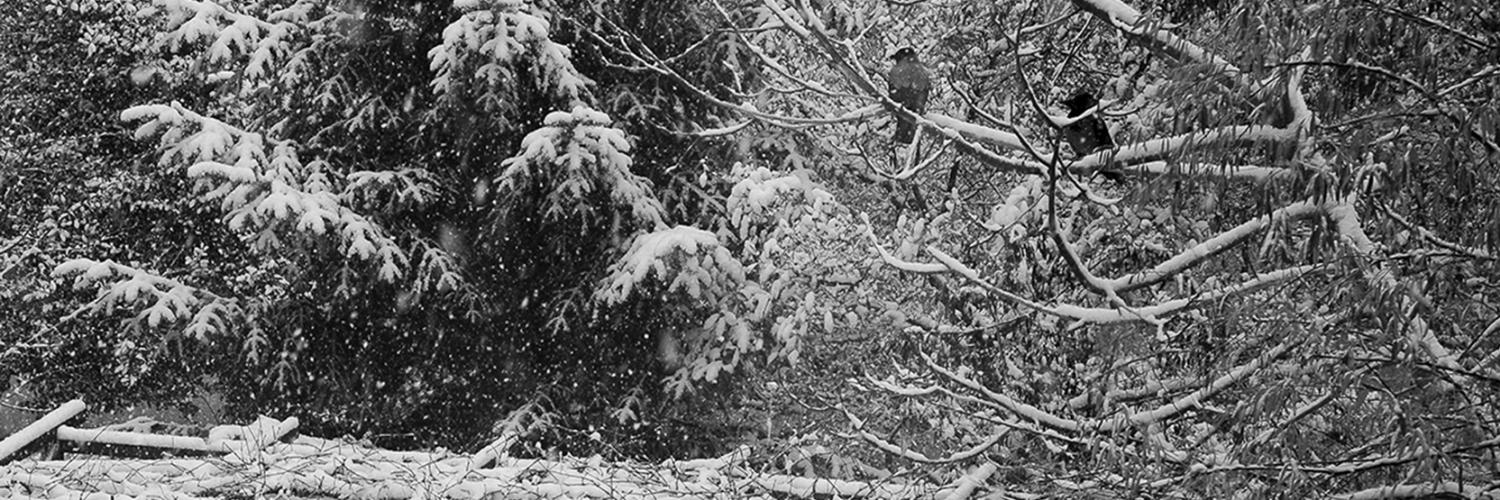 ilhanAkar_'s profile banner image