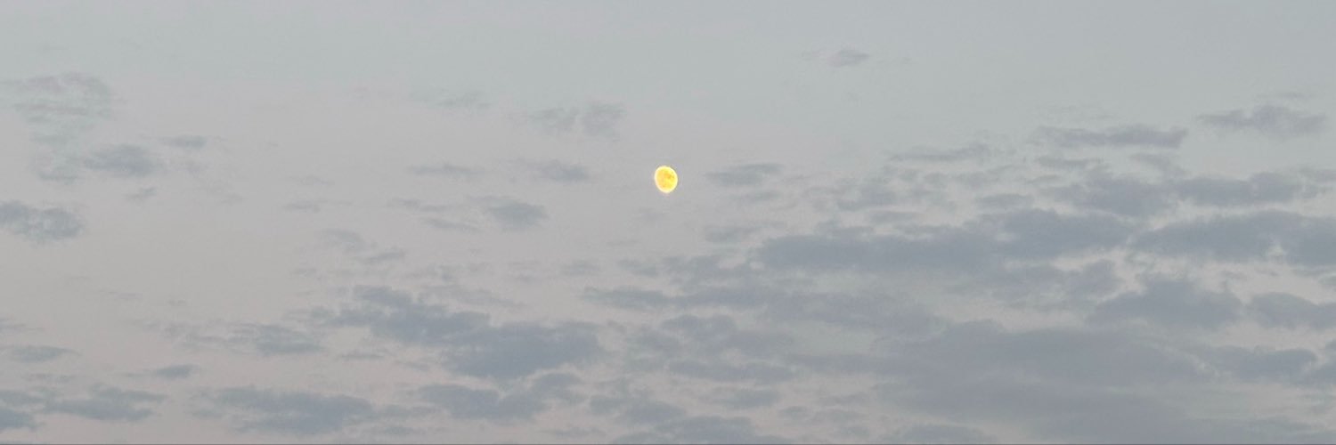 camnohoes's profile banner image