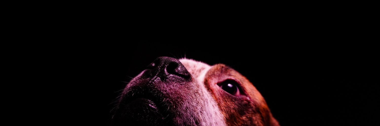 Ashley Narcisse 🇭🇹 banner