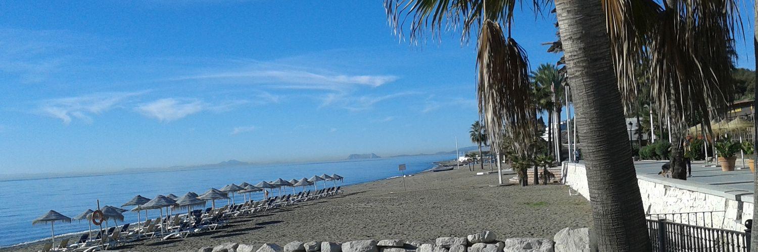 Chiringuitera's profile banner image