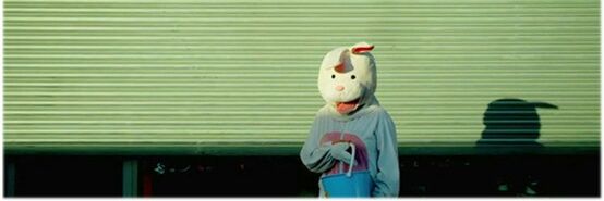 lauemx's profile banner image
