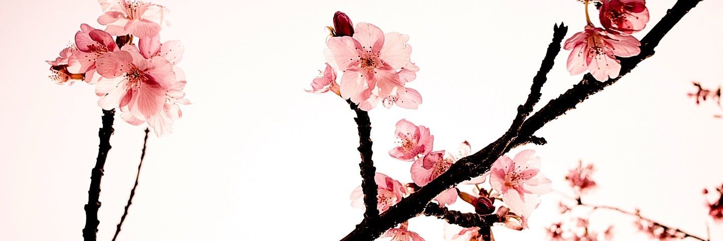 EsteraKarnas's profile banner image