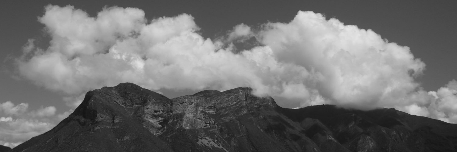 pazeriforme's profile banner image