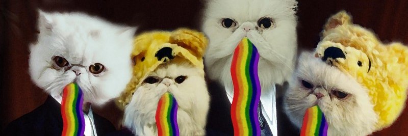 TheEmilyJo's profile banner image