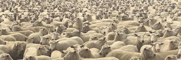 paradooprime Profile Banner