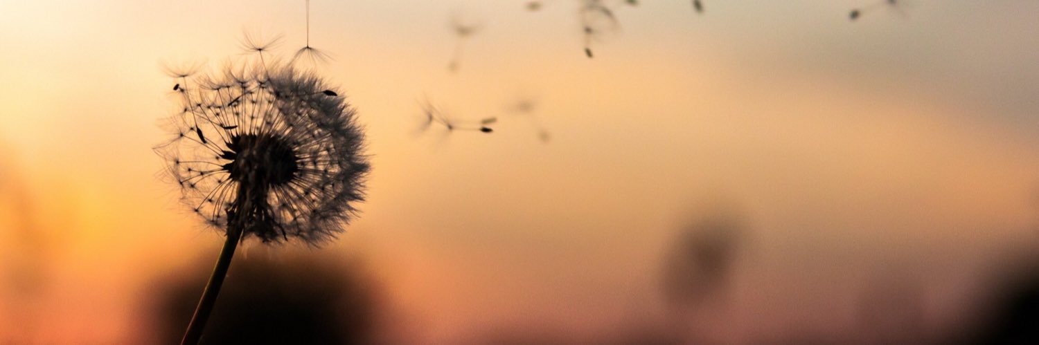 PhiBaugh's profile banner image