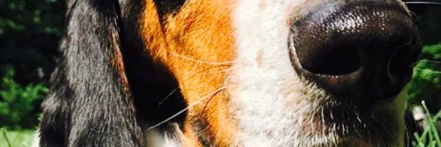 Rbrom13's profile banner image
