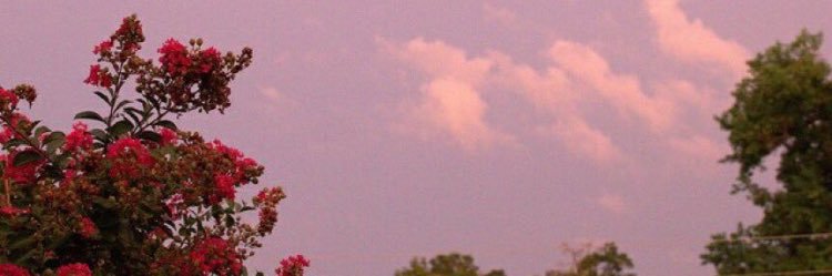 nostalgiahoe's profile banner image