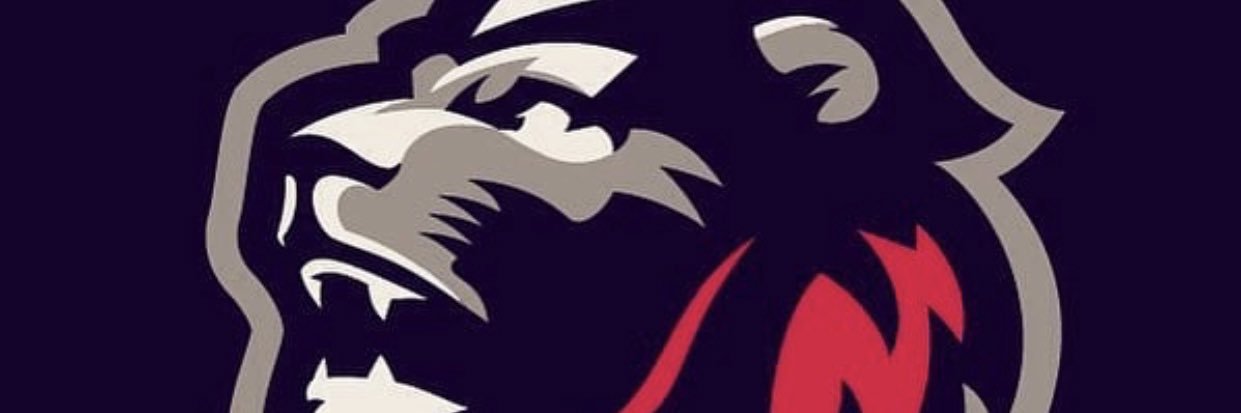 eldynamico1's profile banner image