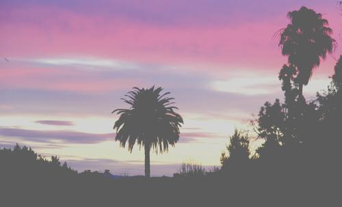 MlulekiXolo's profile banner image