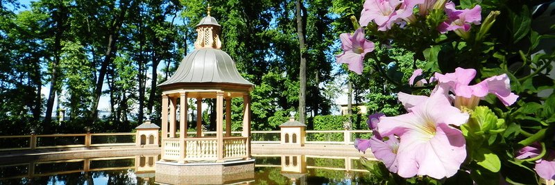 Анастасия banner