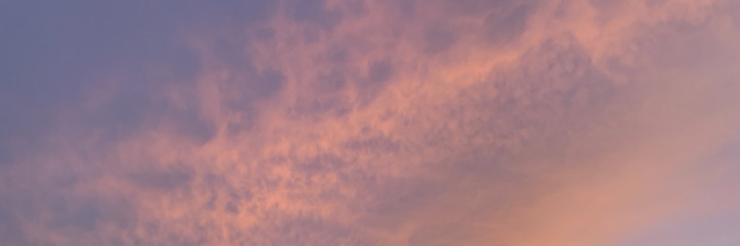 maddierecchie's profile banner image