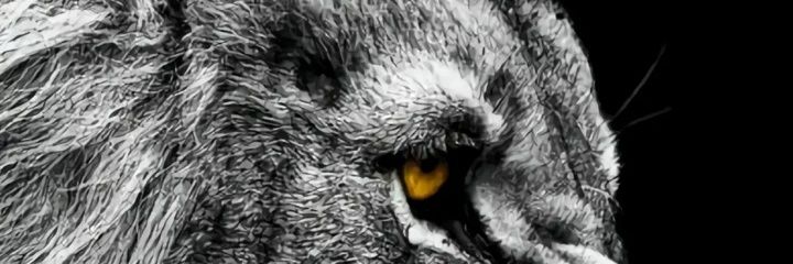 nanaboy399's profile banner image