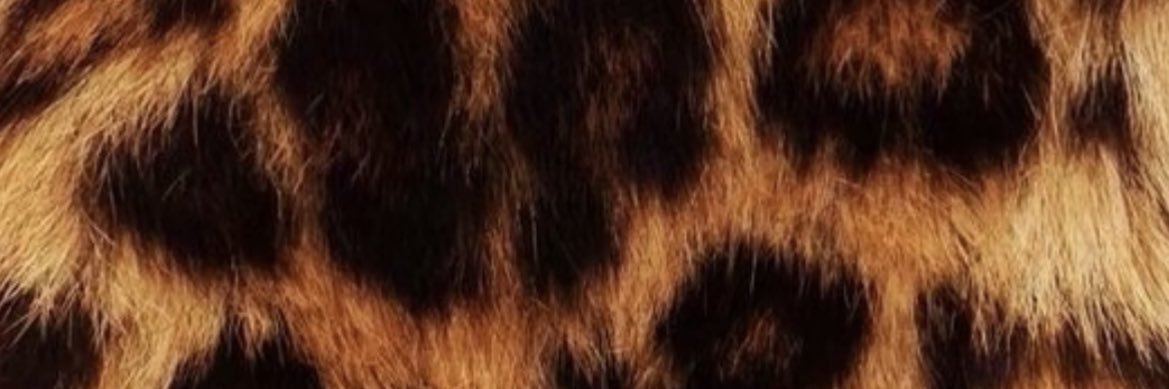 edu__berna's profile banner image