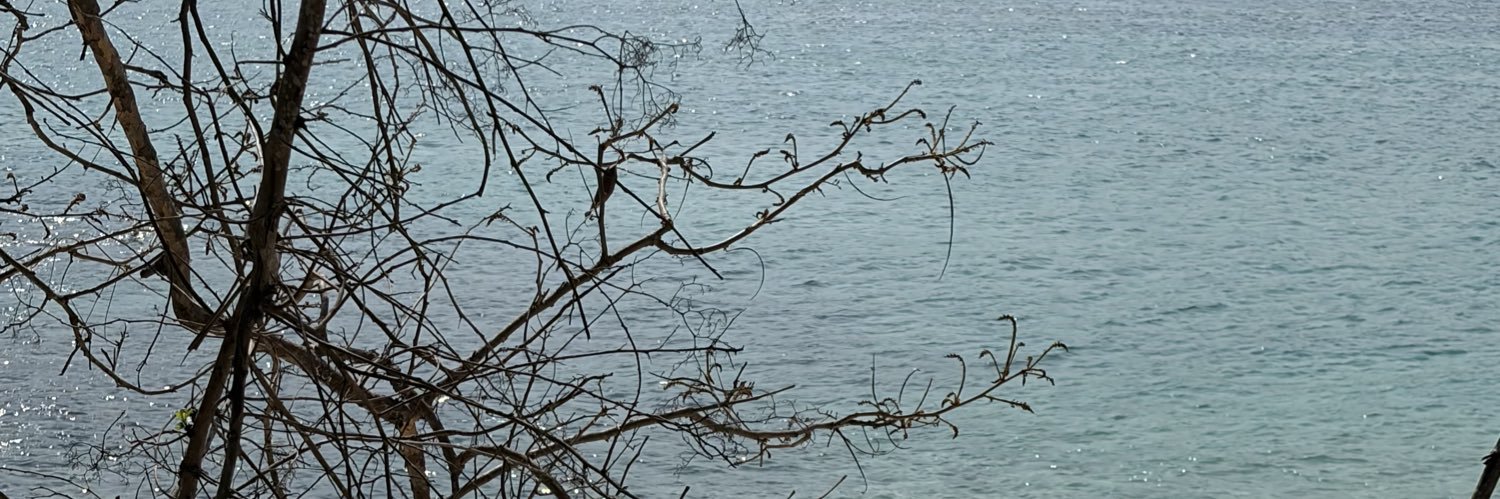 _MonGomez's profile banner image