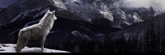 Samurai_Sabre's profile banner image