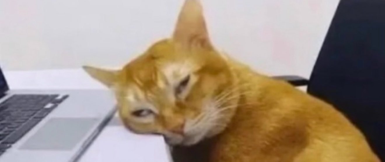 tiathayy_'s profile banner image