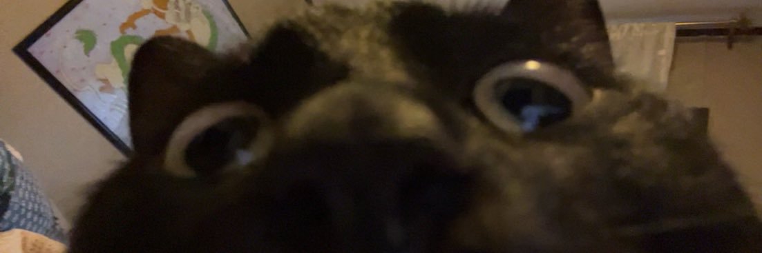 ColorblindAce's profile banner image